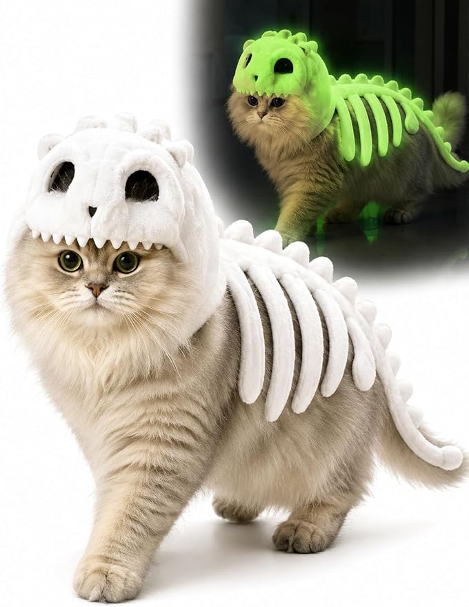 Glow-in-the-Dark Dinosaur Skeleton Cat Costume