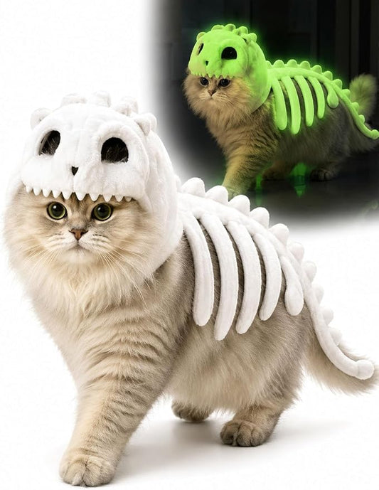 Glow-in-the-Dark Dinosaur Skeleton Cat Costume